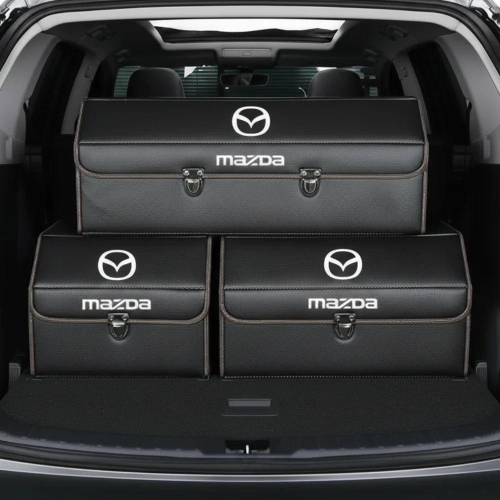 Scatola di immagazzinamento per bagagliaio dell'auto