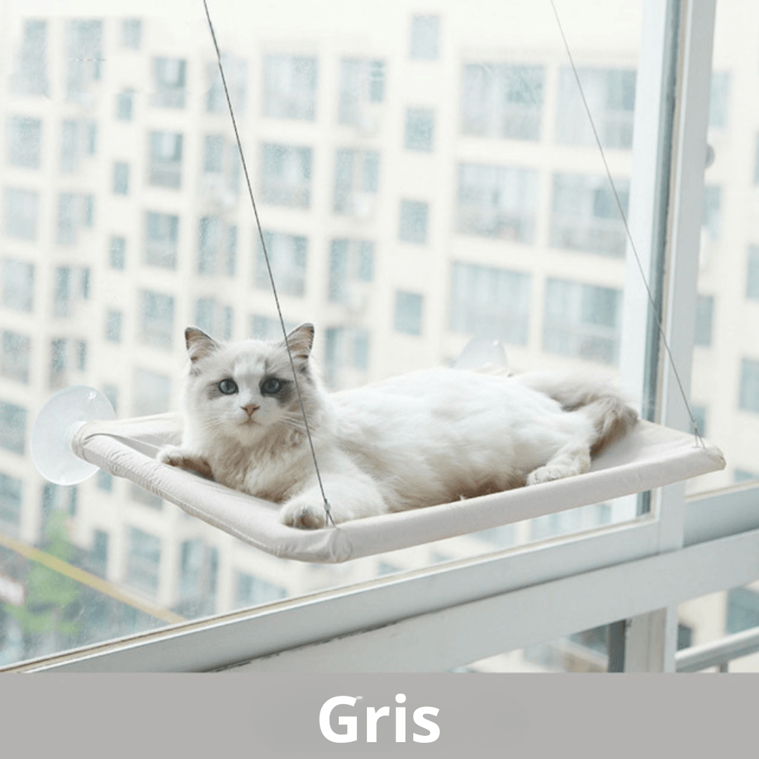 Lit Suspendu pour Fenêtre pour Chats